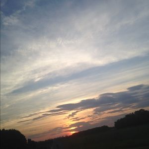 Meet your Posher, Bernard